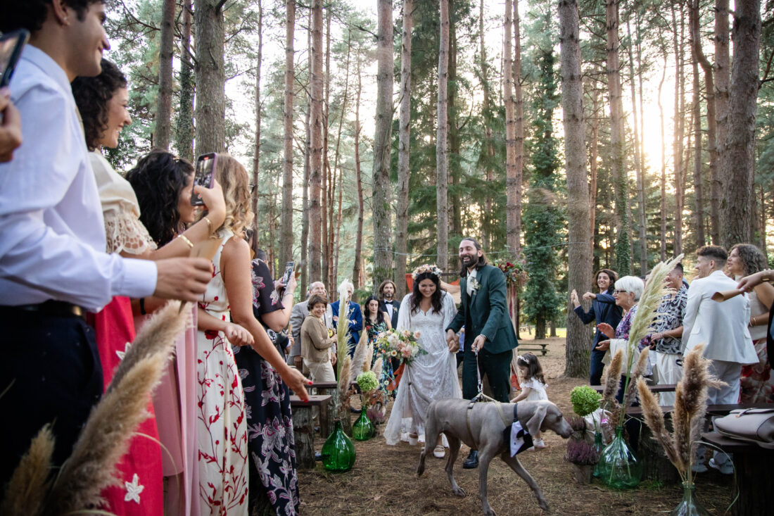 Consegna delle foto e dell'album di matrimonio agli sposi