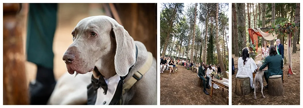 Jacopo & Rossana - foto 4