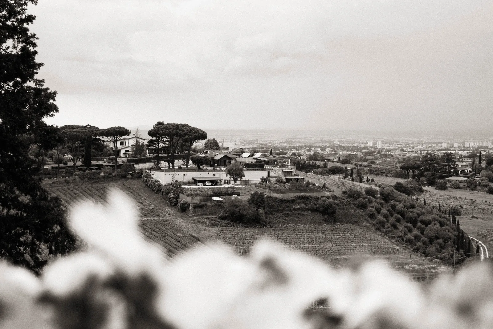 Panorama dei Castelli Romani con vista su Roma da una villa per matrimoni